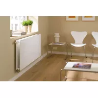 Modello 10
